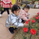 세천늪근린공원 이미지