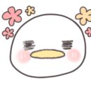 신코다리 이미지