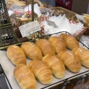 괴정초후문 이미지