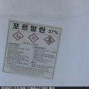 구일초등학교 이미지