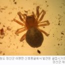 산호동509 이미지