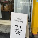 디어풀