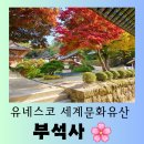 부석사관광안내소 | [영주 여행] 은행나무 단풍이 아름다운 유네스코 세계 문화유산 &#34;부석사&#34; 아름다운 방문 후기