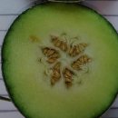 일성농장 이미지