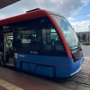 신지카서비스 | 일본 소도시 마쓰야마 여행 2박3일 후기