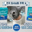 착한 고양이 | 기호성 좋은, 성분 착한 고양이 파우치 '프라미 카니보어' 급여 후기 😺