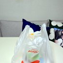 피자알볼로 나폴리맛피자 신메뉴 후기 내돈내산