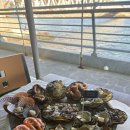 웅이포장 | 기장 연화리 해녀촌 웅이엄마 후기. 부산 포장마차 오션뷰 해산물 한 상