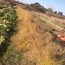 김재연농장 이미지