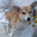 에듀시티로 이미지