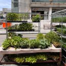 충남농약사 이미지