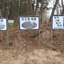 시에스타민박 이미지