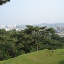 하연 선생 묘 이미지