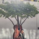 기옥농장 이미지