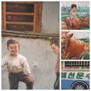 대심반점