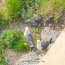 남양펜션 이미지