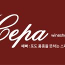 쎄빠 이미지