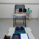 알즈너 점프 대리점 이미지