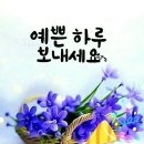 05월 06일(수) 신문을 통해 알게된 이야기들 이미지