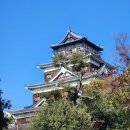 본우리집밥 국민염창점 | 히로시마 일상 : 일본 현지인 집구경과 집밥 이야기