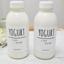 장내목장 | 플레인 요거트 장 건강 챙기는 아이들 간식 그남자의 치즈가게 리뷰