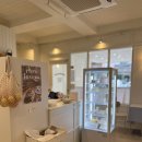 로로러버스 이미지