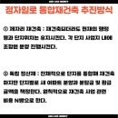 정자일로 이미지