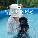 터 펜션 | 강화도 애견동반 펜션 수영장 있는 터 펜션 추천 후기(인생 바베큐 뷰)