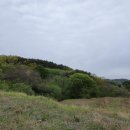 미현리농장 이미지