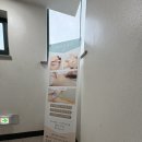 슈가링바이지