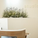 S&I 더청당 이미지