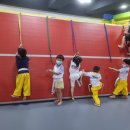 올림픽석사태권도 이미지