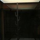 국립부여박물관 전시실 이미지