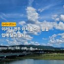 내가사랑하는세차마을 | 본격적인 경주 라이프 시작! 한 주의 일상 기록