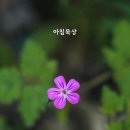갈산역 Daum카페