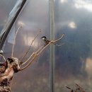 안이하우스 이미지