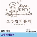 그루밍 버블리 이미지