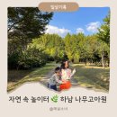 나무고아원 | 🌳 하남 나무고아원 유아숲 체험 후기 | 주말 아이들과 가볼만한 곳
