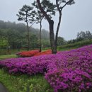 유니시티행복부동산중개사무소 이미지