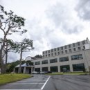 나봄이네 이미지