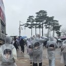 진 월드투어 네이버블로그
