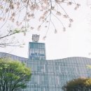 중앙법률원격평생교육원