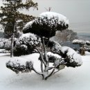 부론중학교 이미지