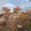 탑드림공인중개사사무소 이미지