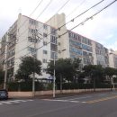 인화초등학교 Daum카페