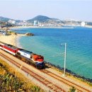 파랑새목장 이미지