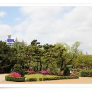 보라매공원 이미지