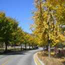 용문사입구 이미지