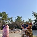 제황산공원(제황산부엉이) 이미지