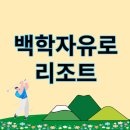 백학지 옆 | 백학자유로리조트 스위트A 숙박후기, 바베큐, 부대시설 총정리